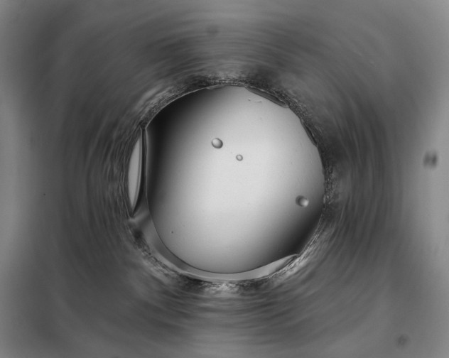 X0000098130140200805011329