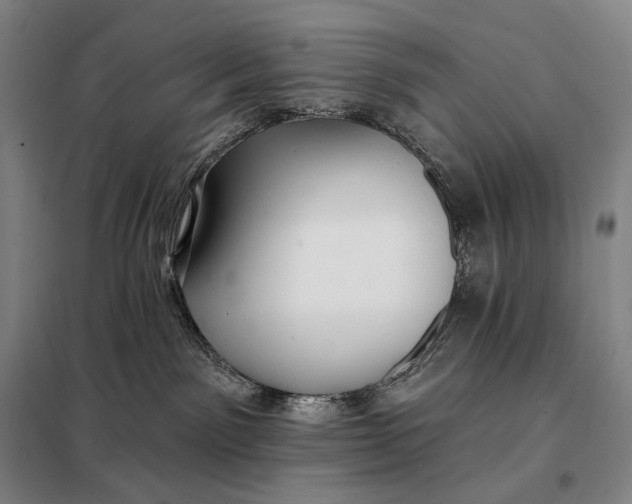 X0000098130141200805011329
