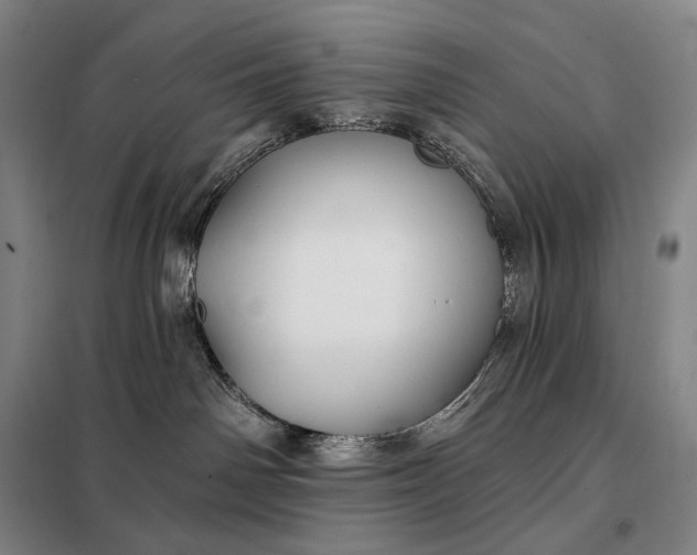 X0000098130142200805011329