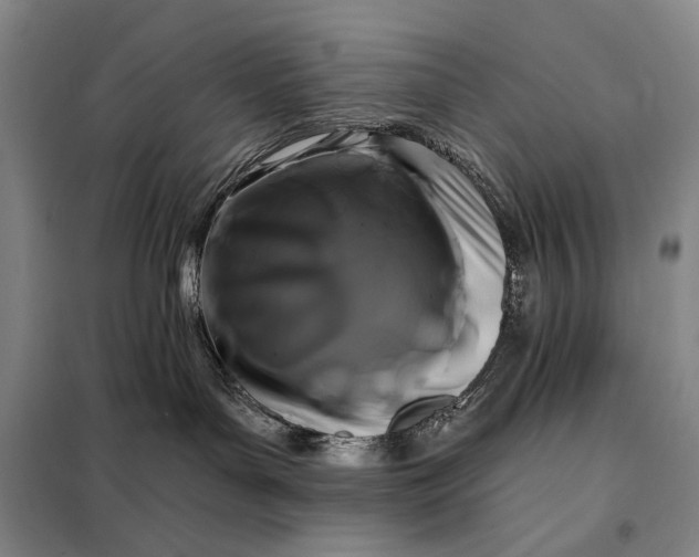 X0000098130143200805011329