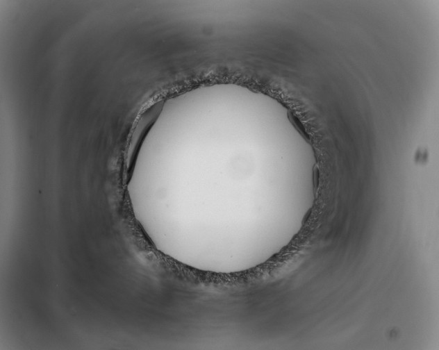 X0000098130144200805011329