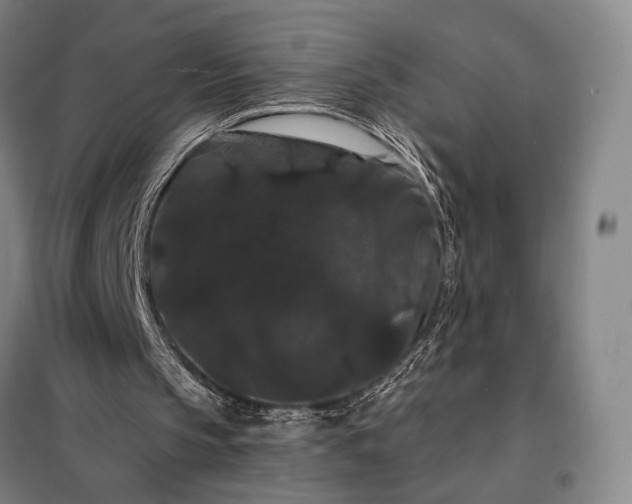 X0000098130145200805011328