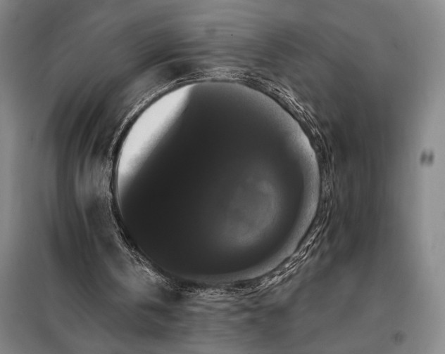 X0000098130146200805011328