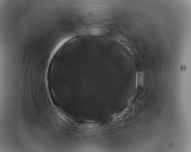 X0000098130147200805011328
