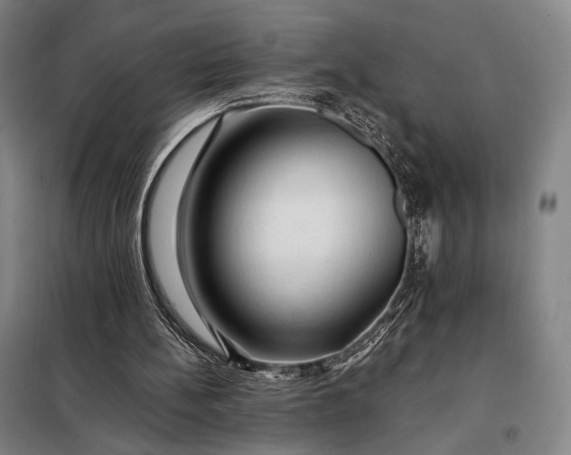 X0000098130148200805011328