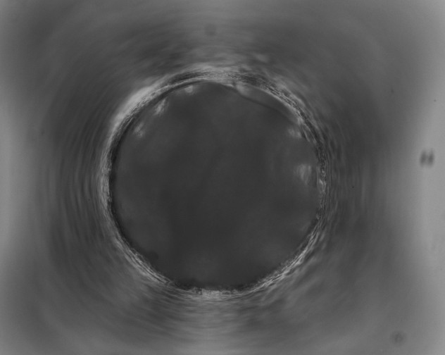 X0000098130149200805011328