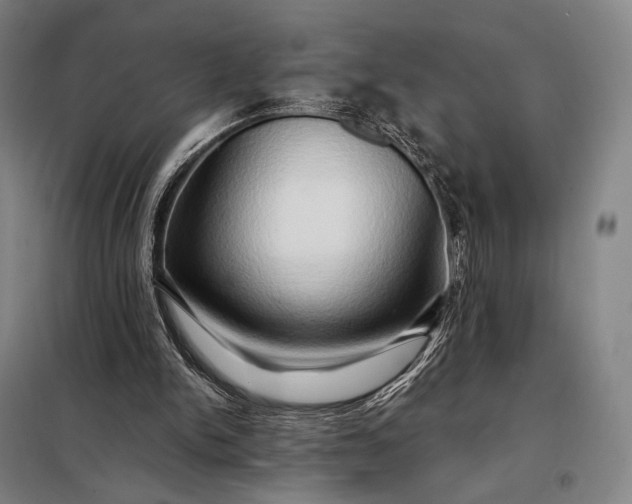X0000098130150200805011328