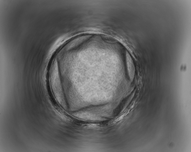 X0000098130151200805011328