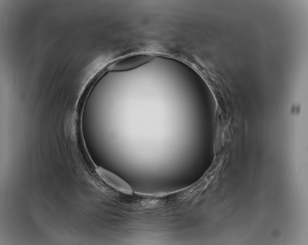 X0000098130152200805011328