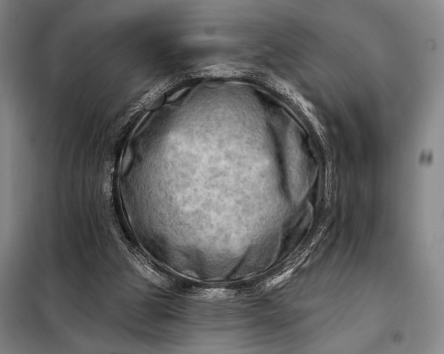 X0000098130153200805011328