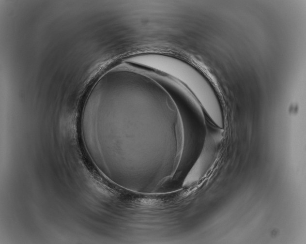 X0000098130154200805011328