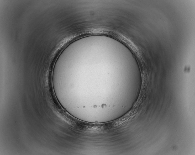X0000098130155200805011328