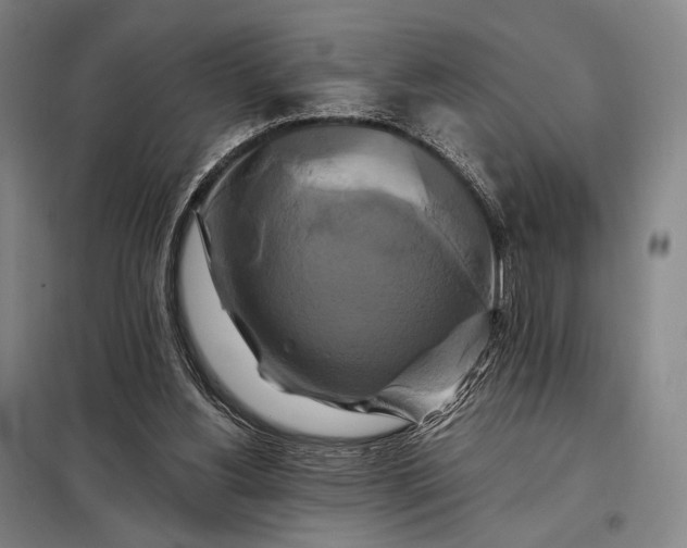 X0000098130156200805011328