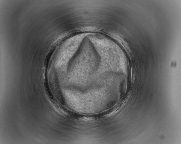 X0000098130157200805011328