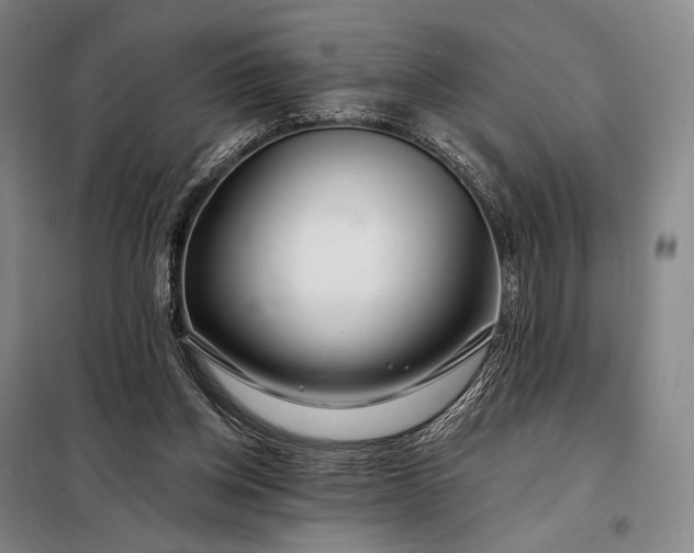 X0000098130158200805011328