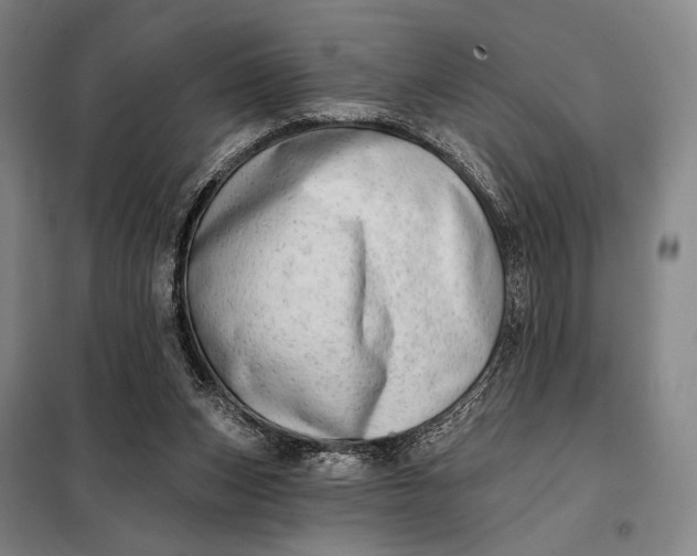 X0000098130159200805011329