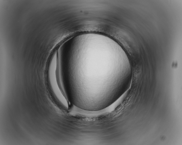 X0000098130160200805011329