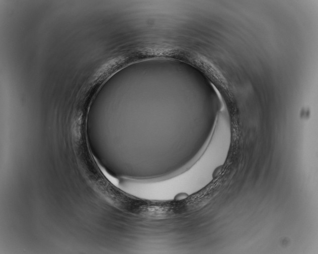 X0000098130163200805011329