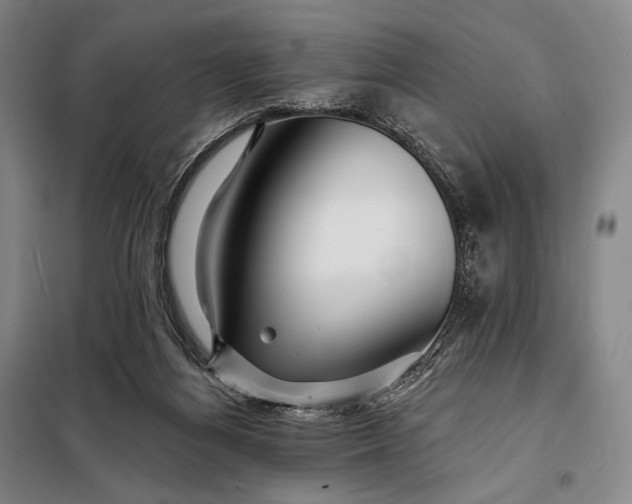 X0000098130164200805011329