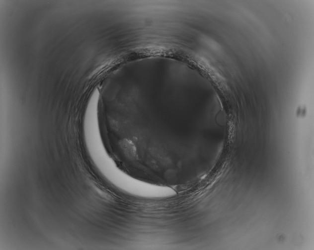 X0000098130165200805011329