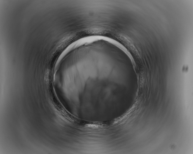 X0000098130167200805011329