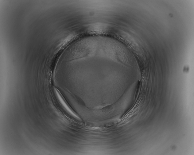 X0000098130168200805011329
