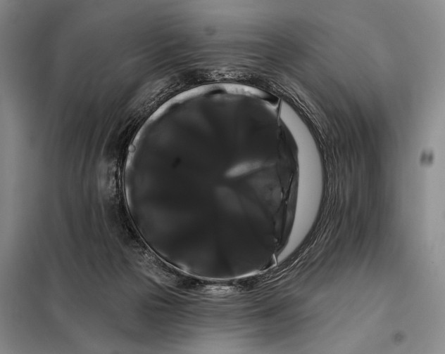 X0000098130169200805011329