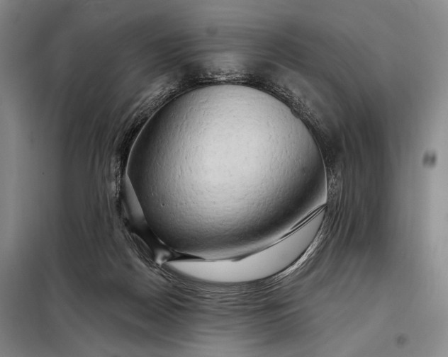 X0000098130170200805011329