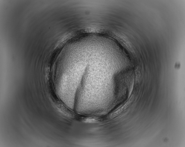 X0000098130171200805011329