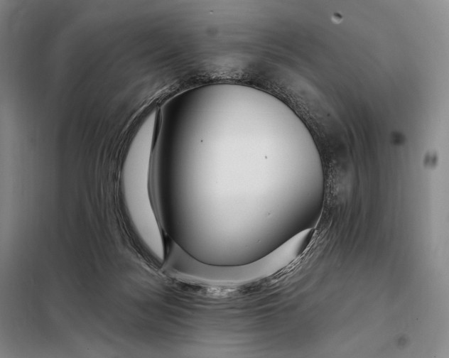 X0000098130172200805011329