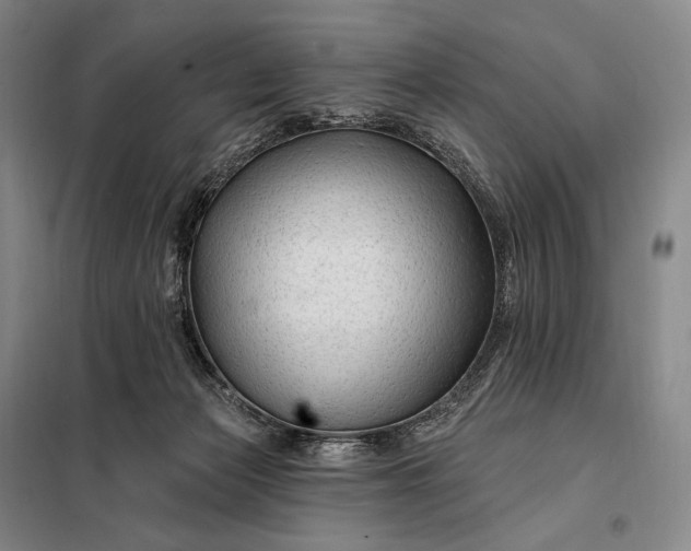 X0000098130173200805011329