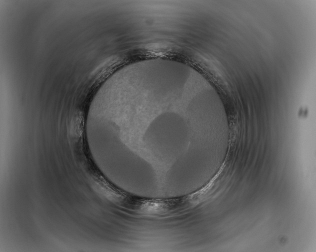 X0000098130174200805011329
