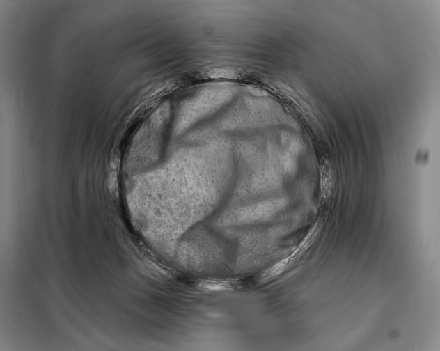 X0000098130175200805011329