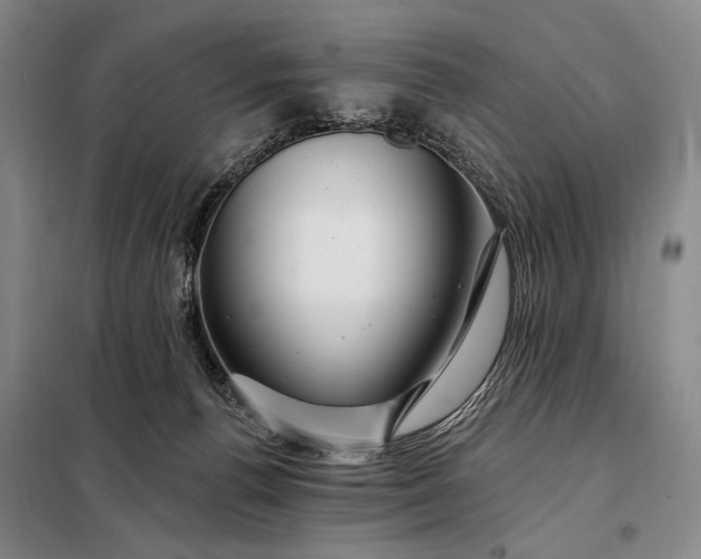 X0000098130176200805011329
