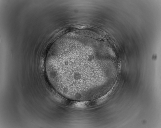 X0000098130178200805011329