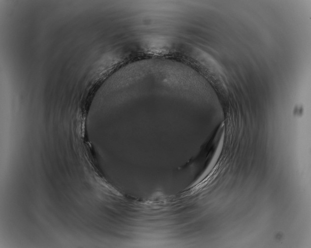 X0000098130180200805011329