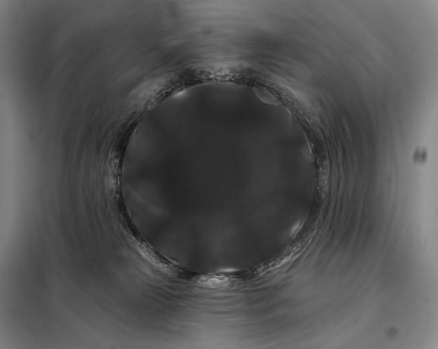 X0000098130181200805011329