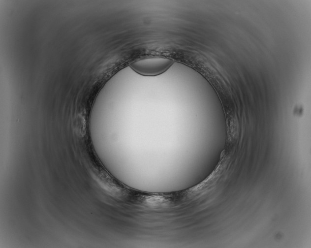 X0000098130183200805011329