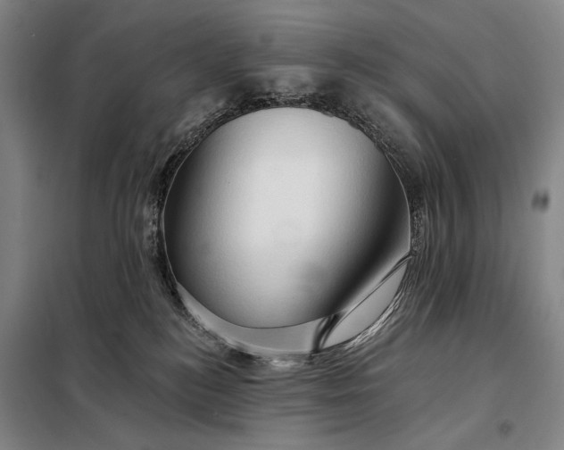 X0000098130184200805011329