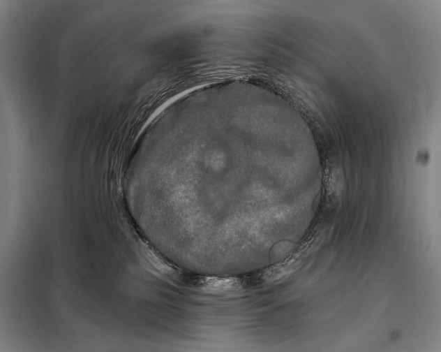 X0000098130185200805011329