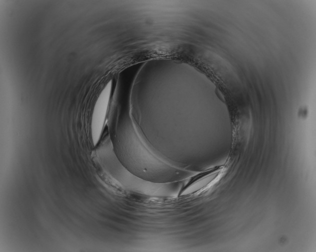 X0000098130186200805011329