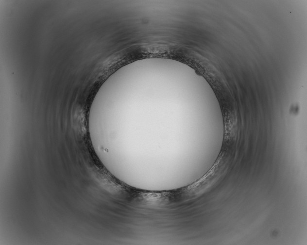 X0000098130187200805011329