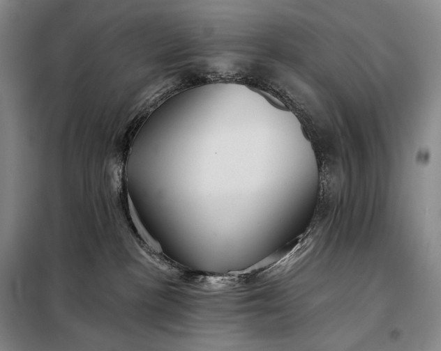 X0000098130188200805011329