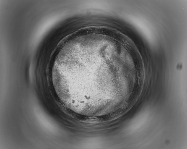 X0000098130189200805011329