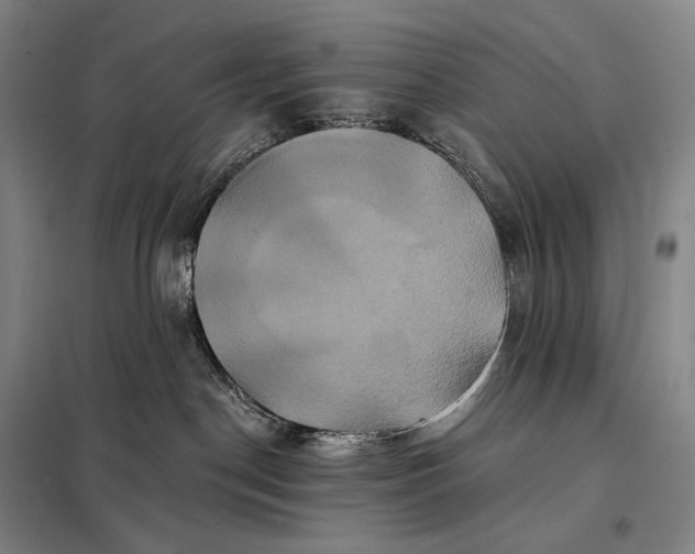 X0000098130190200805011329
