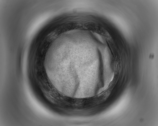 X0000098130191200805011329