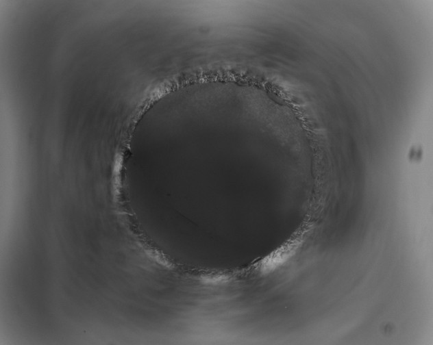 X0000098130192200805011329