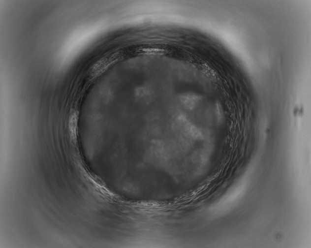 X0000098130194200805011328