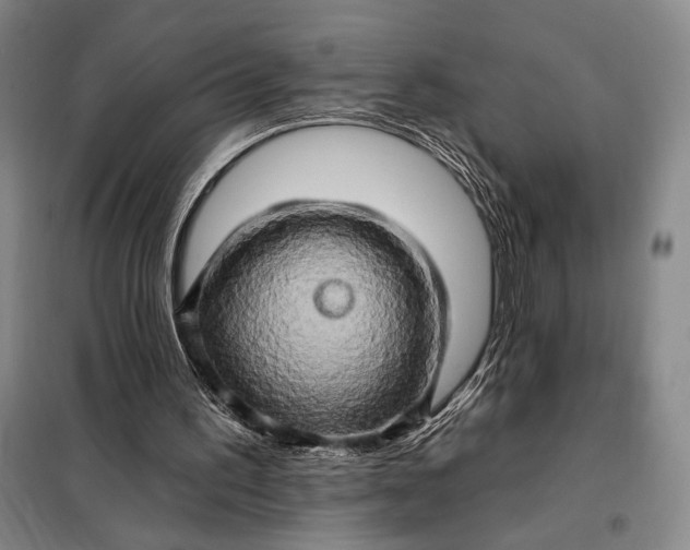 X0000098130195200805011328