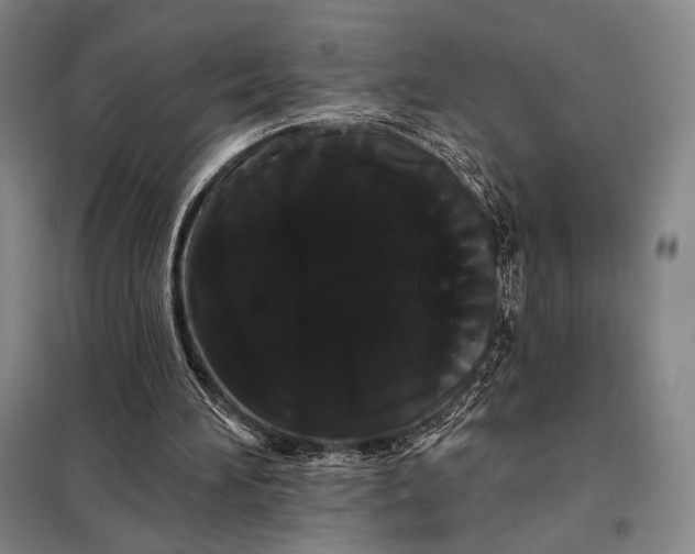 X0000098130196200805011328